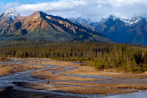 denali national park